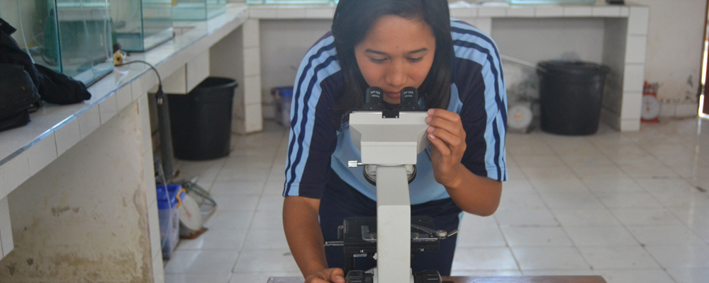 Website SMK Negeri 1 Tampaksiring
